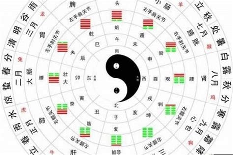 八字喜火|生辰八字算命、五行喜用神查询（免费测算）